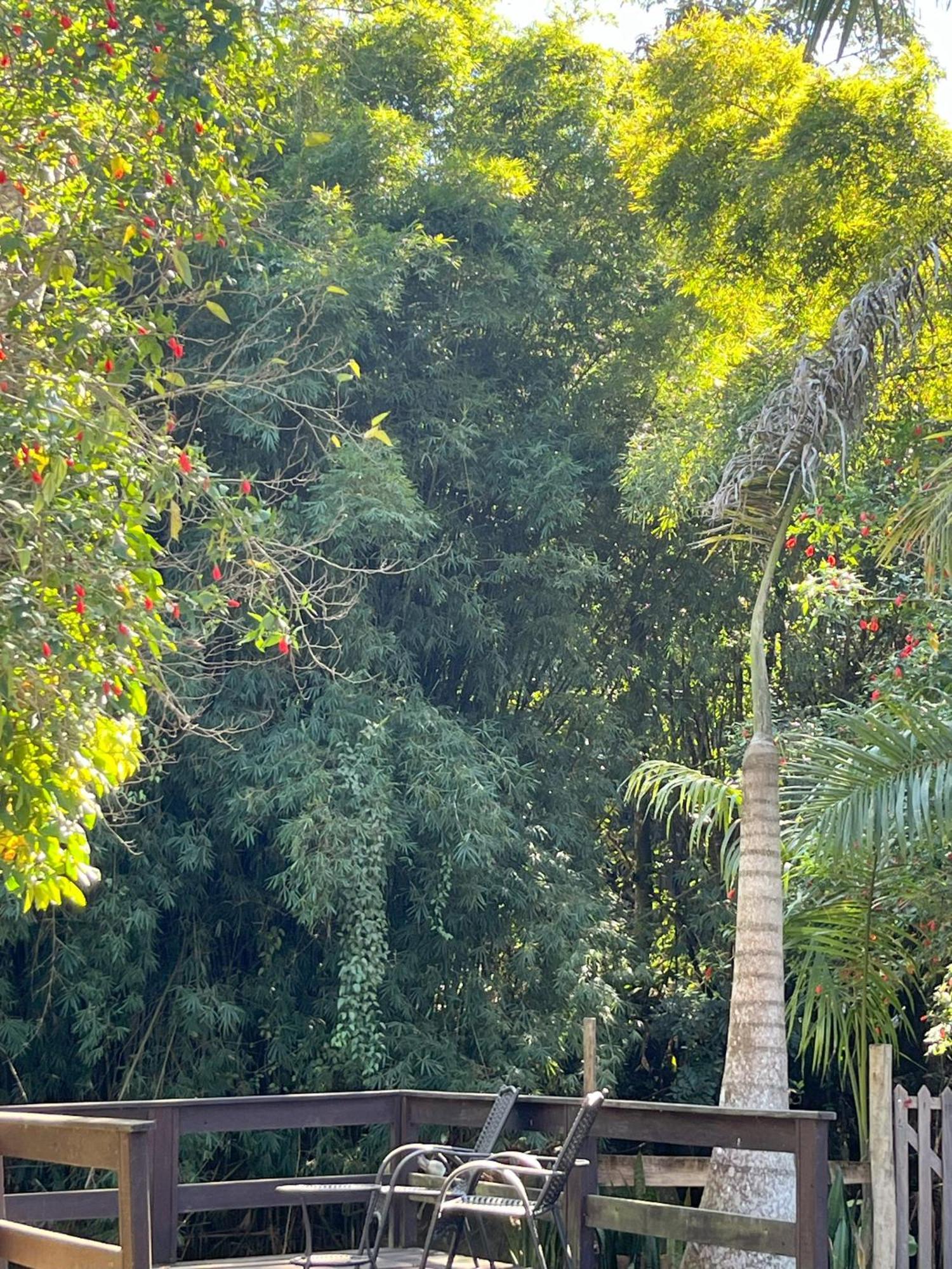 Rio Vista: Casa Familiar com Piscina e Acesso Privativo ao Rio Villa Nova Friburgo Exterior photo